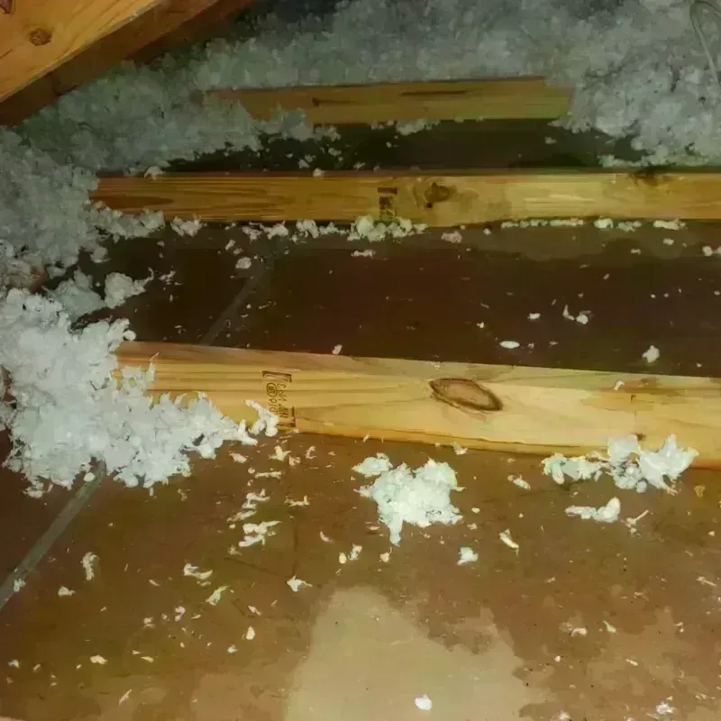 Attic Water Damage in Leland, MI