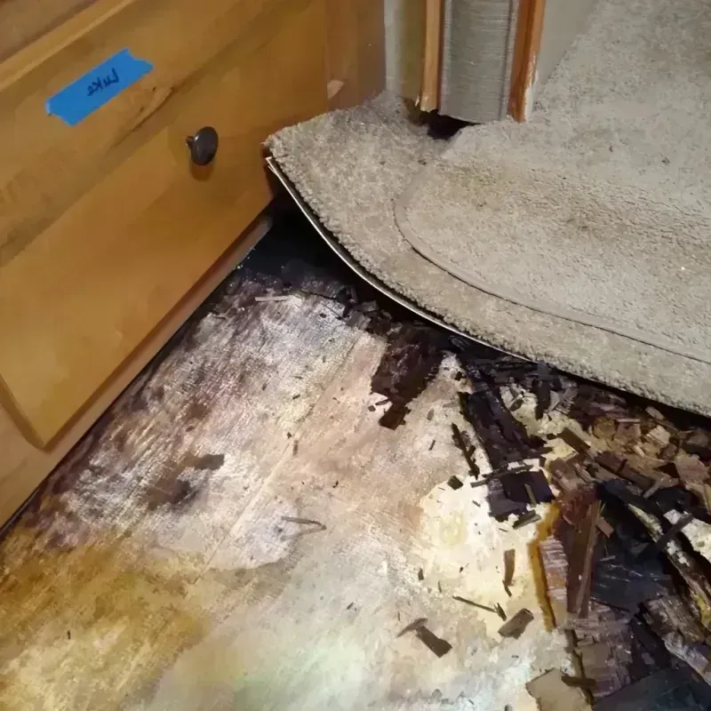 Best Wood Floor Water Damage Service in Leland, MI